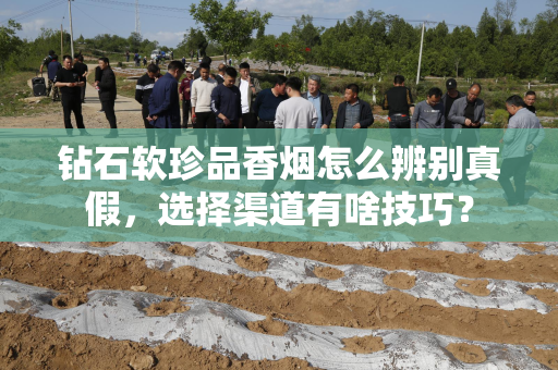 钻石软珍品香烟怎么辨别真假，选择渠道有啥技巧？